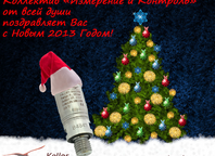 C наступающим Новым Годом 2013!